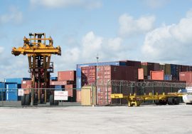 Despachante de aduana
