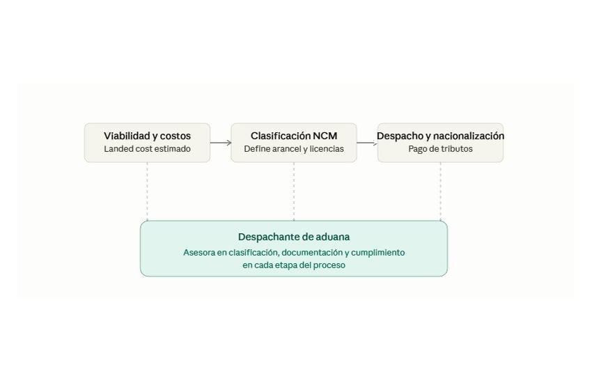 Las tres etapas del proceso de importación (viabilidad y costos, clasificación NCM, despacho y nacionalización) y el rol transversal del despachante de aduana en cada una