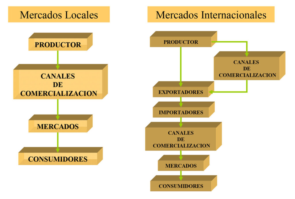 Microsoft Word - MANUALDELEXPORTADOR N 1.doc
