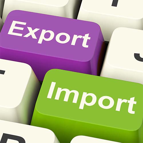 Inscripción importador exportador  en la aduana